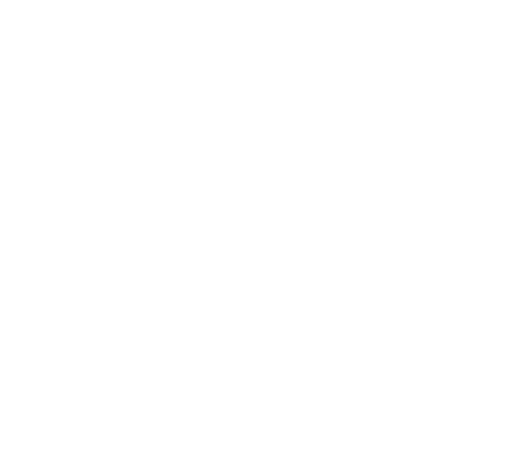 IT Vortex logo